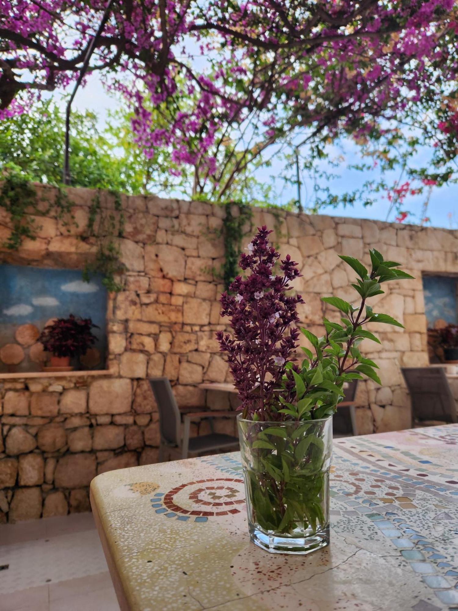 Hotel Begonvil Kaş Exterior foto
